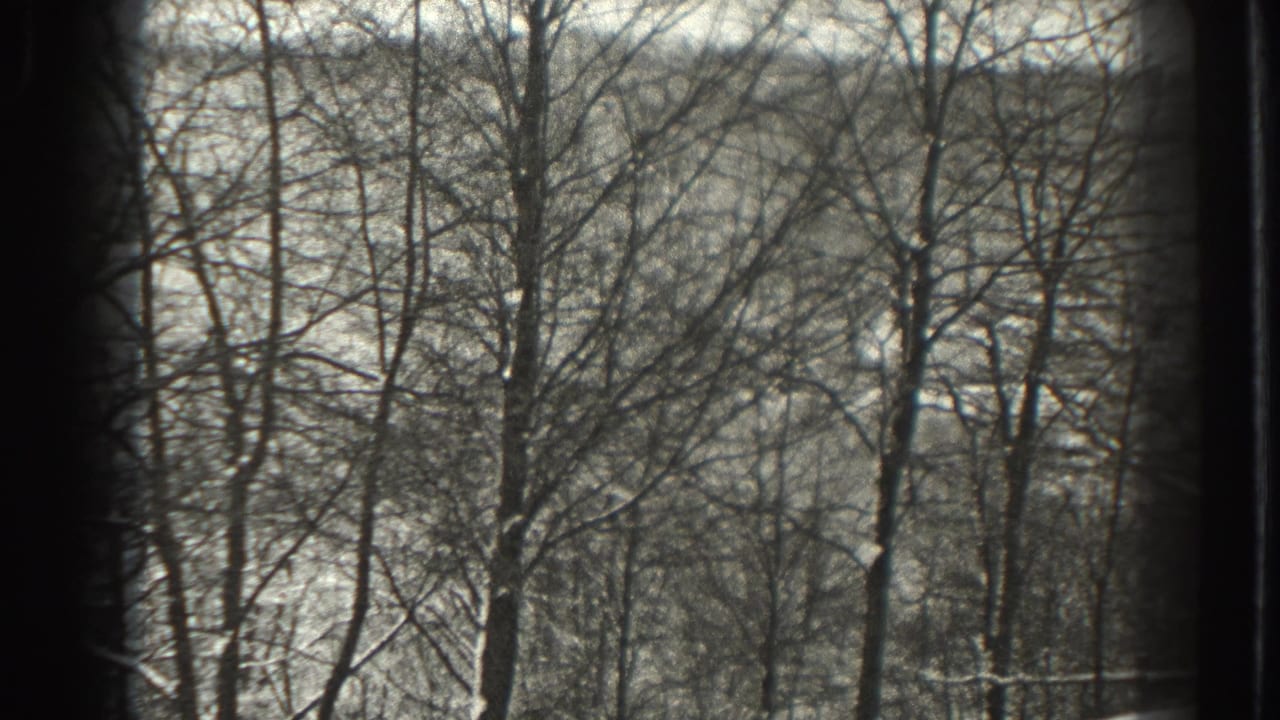 Bare winter trees stand before a snowy wooded hillside.