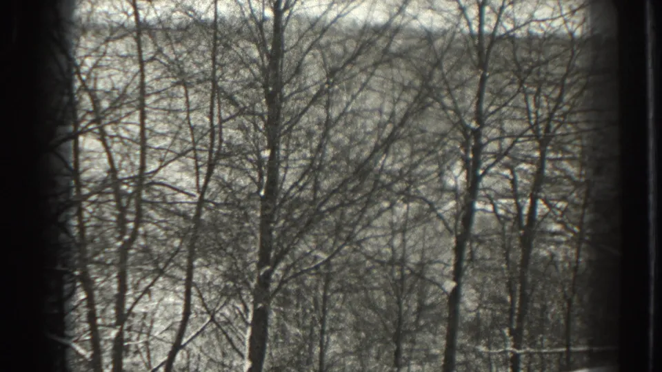 1938 Martinsburg, West Virginia 8mm frame showing leafless trees and snow-dusted terrain from an elevated outdoor view.
