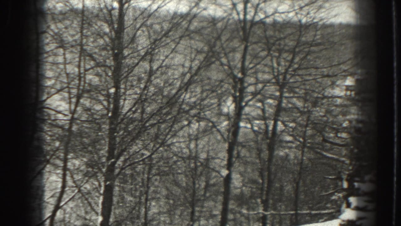 1938 Martinsburg, West Virginia frame with bare tree branches, a snow-covered slope, and small distant buildings partly hidden by woods.
