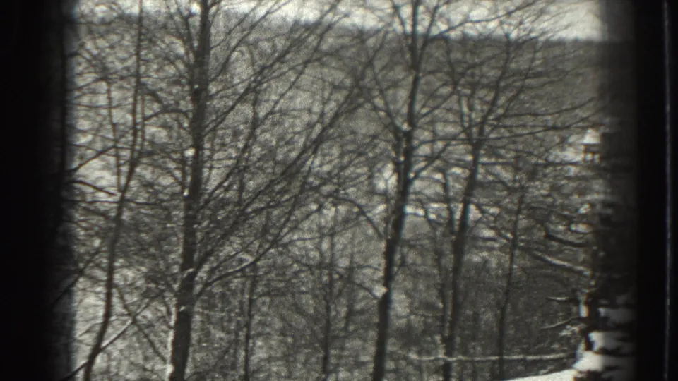1938 Martinsburg, West Virginia frame with bare tree branches, a snow-covered slope, and small distant buildings partly hidden by woods.