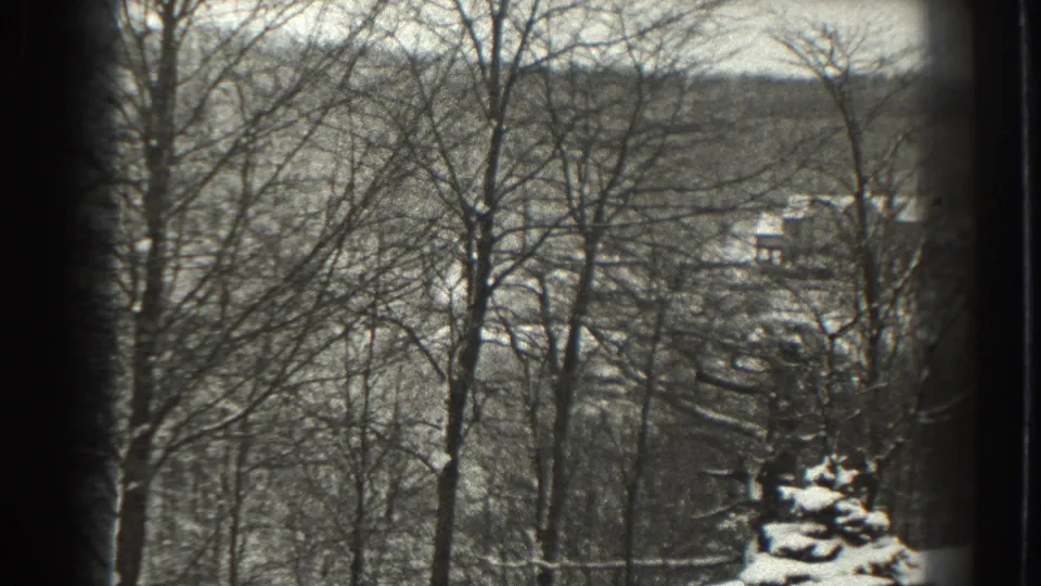 1938 Martinsburg, West Virginia 8mm view of a snowy wooded hillside seen through dense leafless trees and soft film grain.