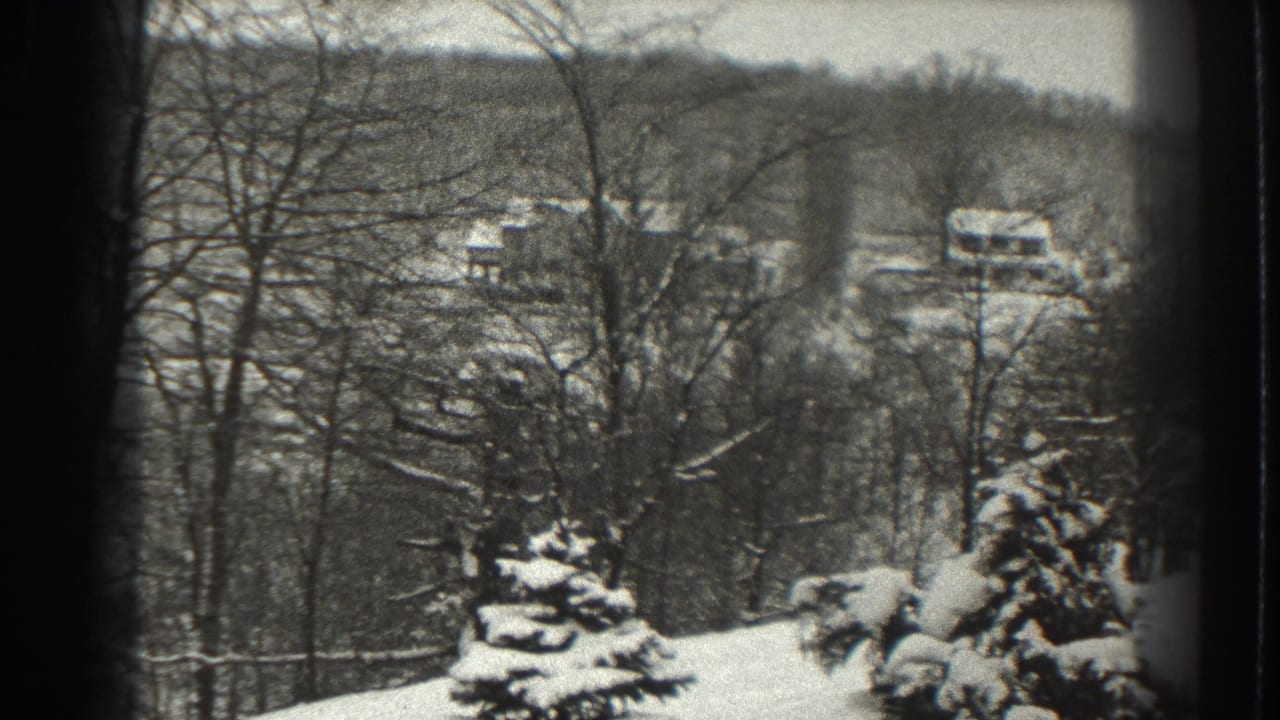 Bare winter trees and snow-laden evergreens in front of distant buildings.