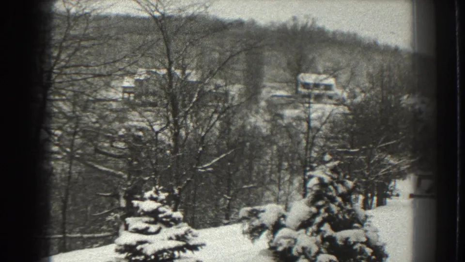 Snow-covered rural Martinsburg landscape with trees in the foreground and farm buildings visible beyond the woods.