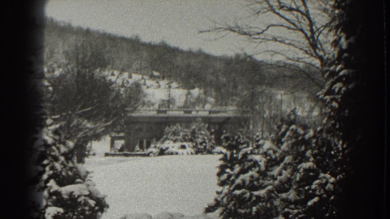 Snow-covered evergreens frame a distant bridge and wooded hillside.