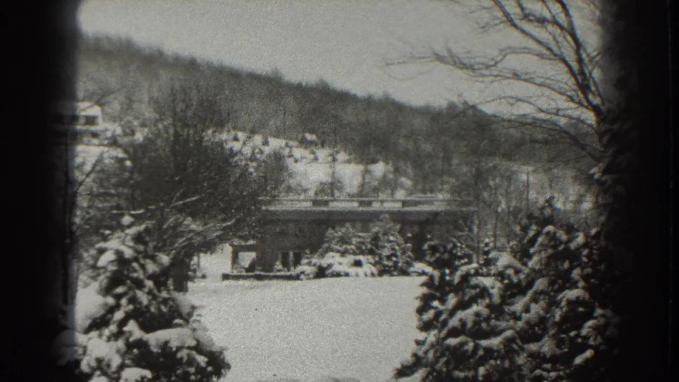 Snowy Martinsburg landscape with evergreens in the foreground, a low bridge beyond them, and houses on the hillside.