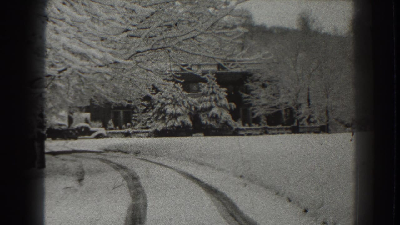 Snowy track curves toward a lodge or cabin among snow-covered trees.
