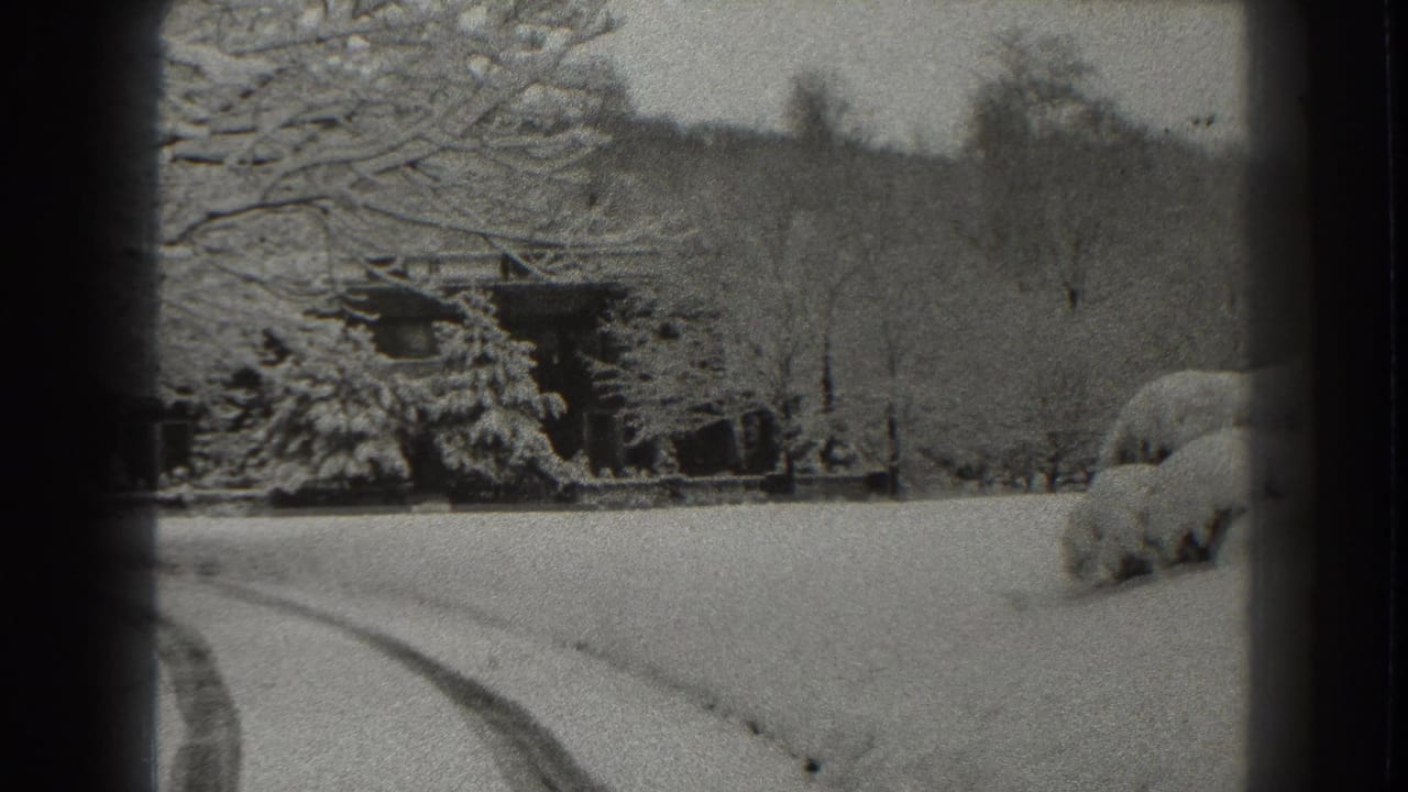 Snow-covered rural yard with bare trees, shrubs, a small cabin, and curving tracks.