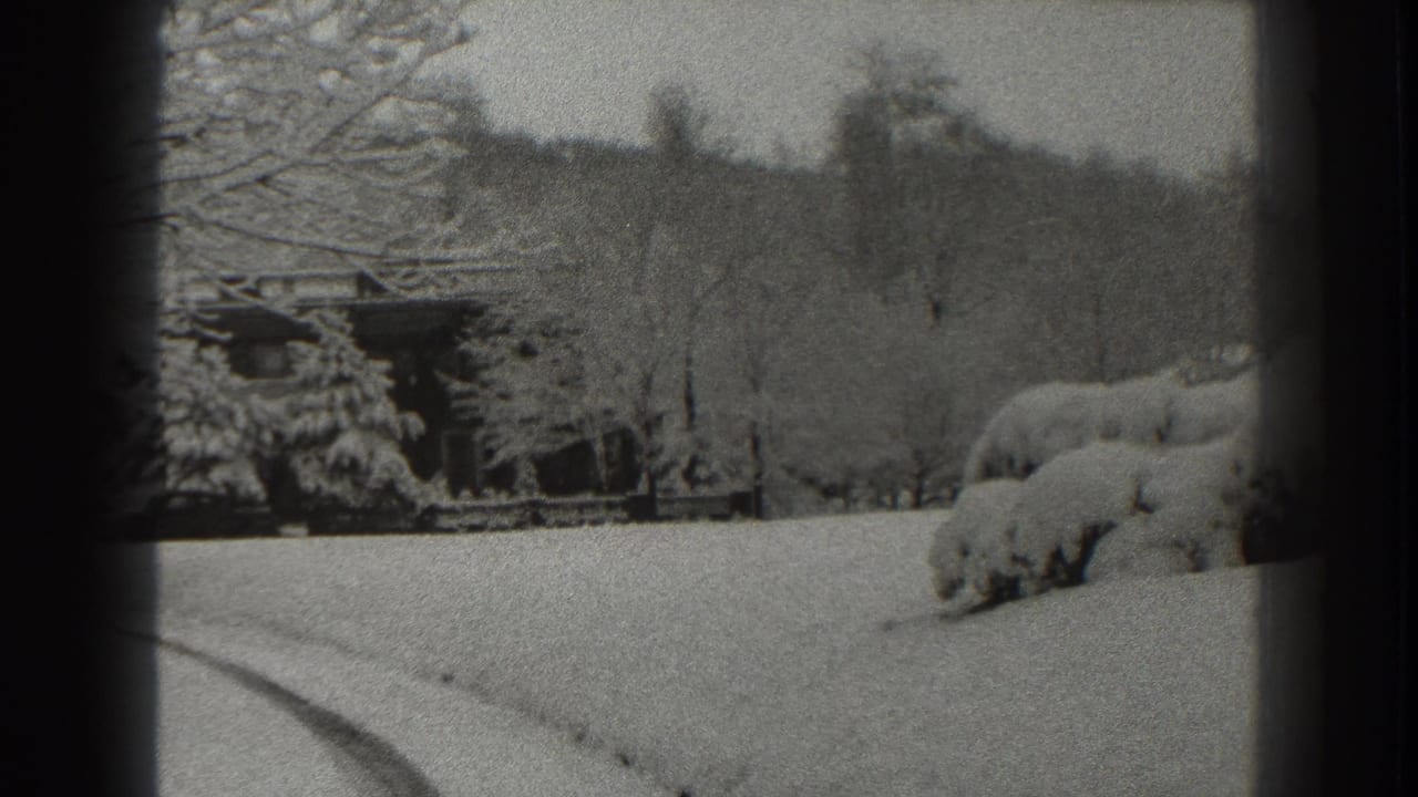 Snow-covered yard with trees, shrubs, and a distant house or outbuilding.