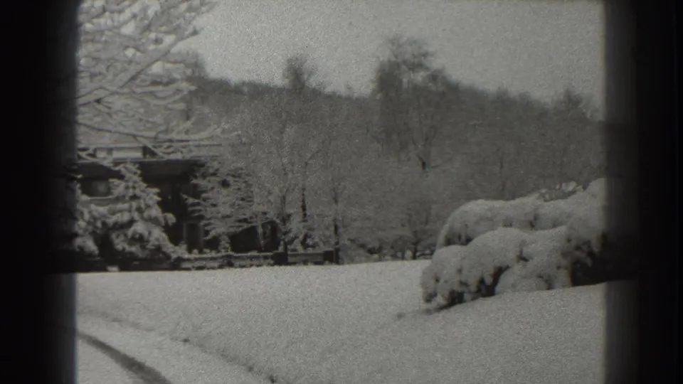 Snow-covered Martinsburg yard in 1938, with a low structure at left, trees, shrubs, and a wooded slope beyond.