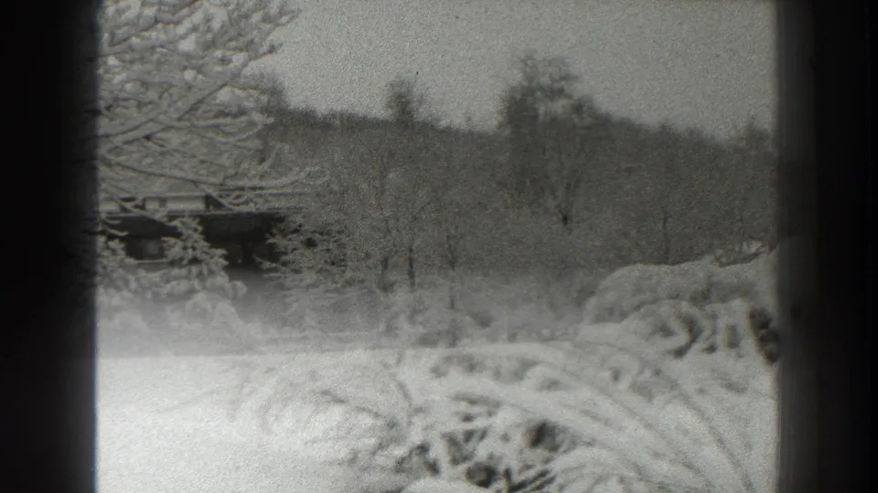Soft 8mm frame of the same snow-covered Martinsburg yard, with shrubs in the foreground and trees fading into the background.
