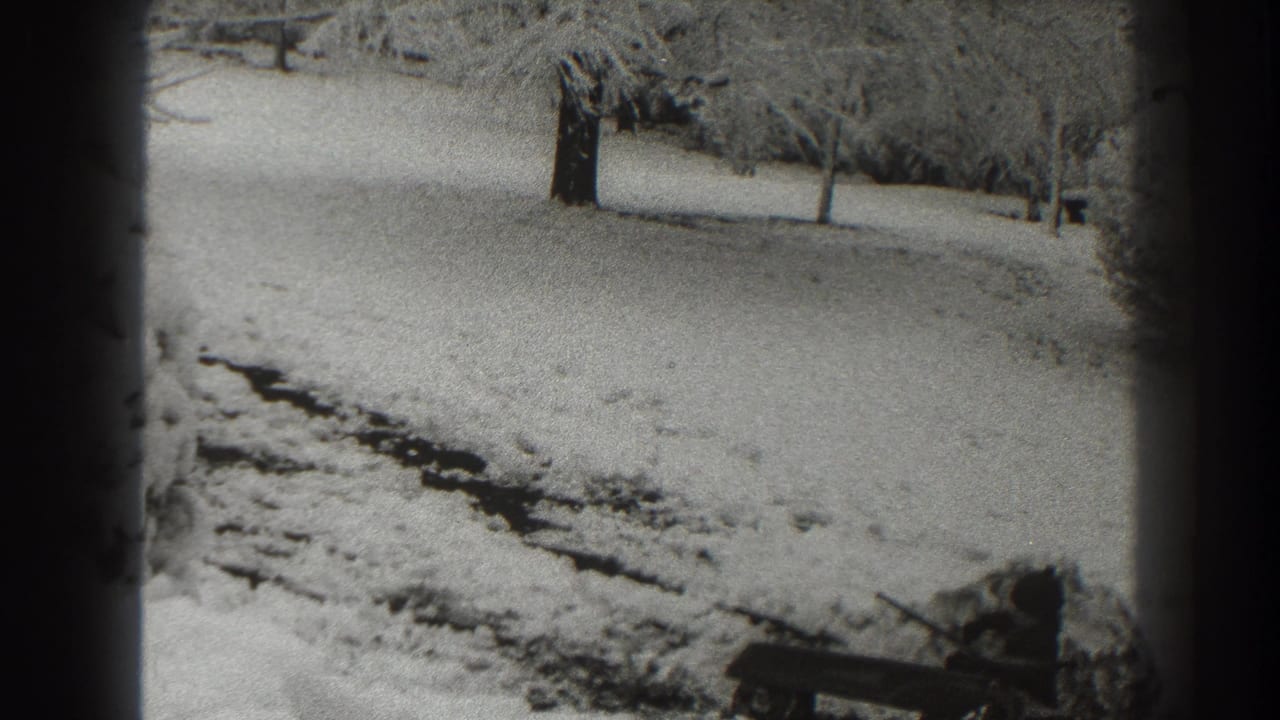 Snow-covered ground and trees with a dark path across the foreground.