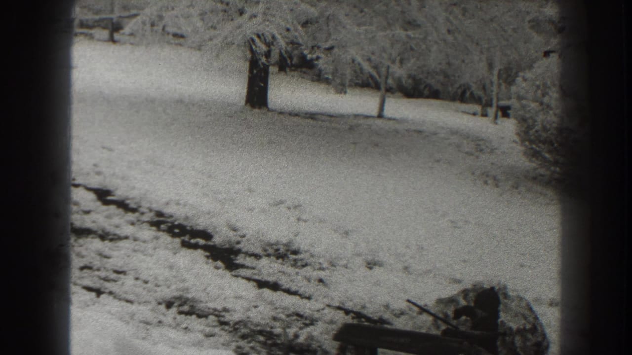 Snowy outdoor scene with trees, a dark track, and a wooden object at lower right.