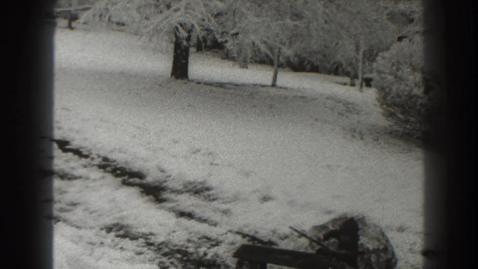 Martinsburg winter frame from 1938 showing snow-laden trees, open snowy ground, and a dark path or track in the foreground.