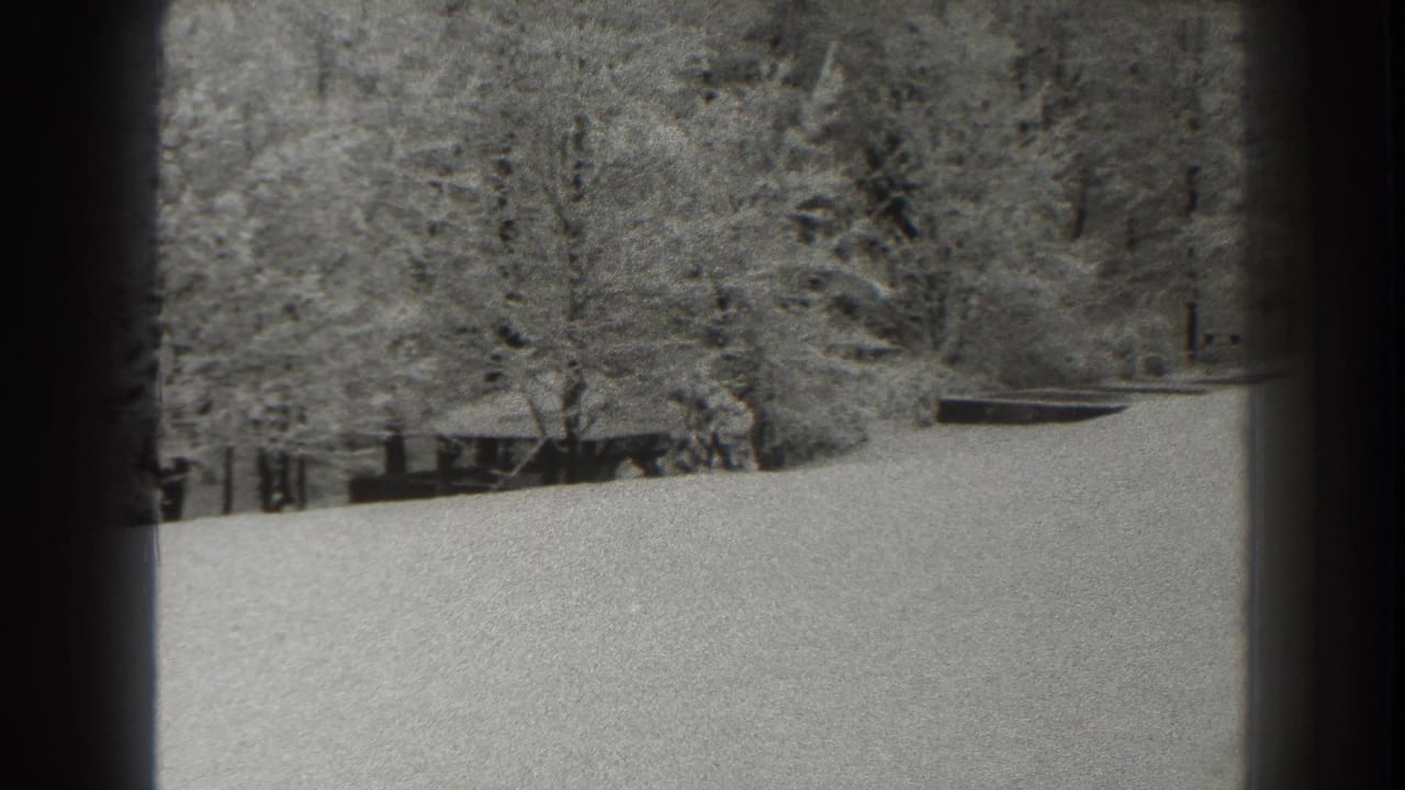Snow-covered hillside leading to winter woods, framed by dark film edges.