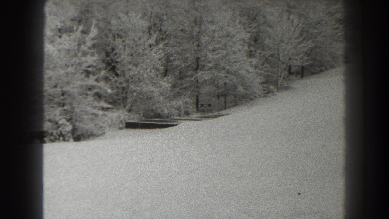 Snow-covered slope bordered by bare trees and evergreens, framed by dark vertical edges.