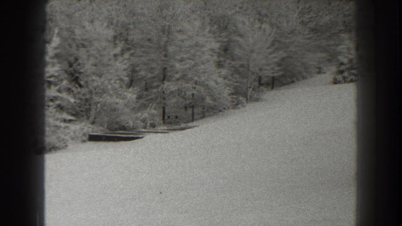 Snowy hillside with dense winter trees and dark vertical framing along the left edge.