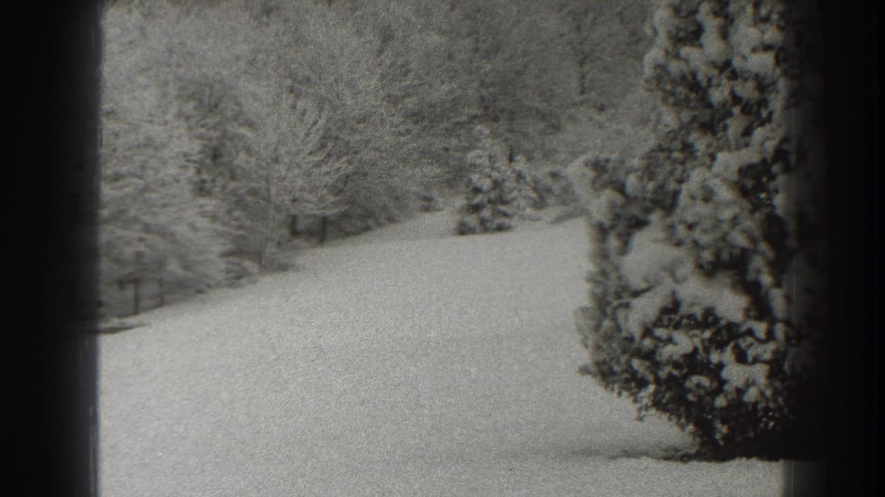 Snowy slope with leafless trees and a snow-covered shrub at right.