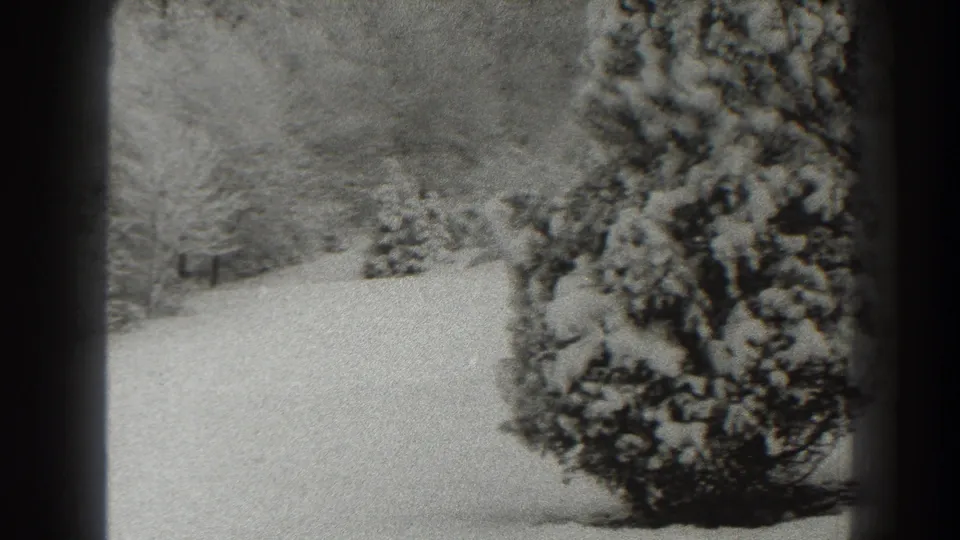 1938 Martinsburg frame centered on a large snow-covered shrub, with a pale winter lawn and bare trees in the background.