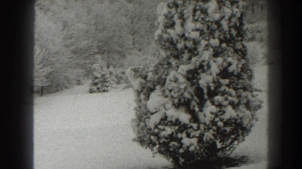 1938 Martinsburg winter frame showing a large evergreen shrub coated in snow, with a snowy yard and leafless trees beyond.
