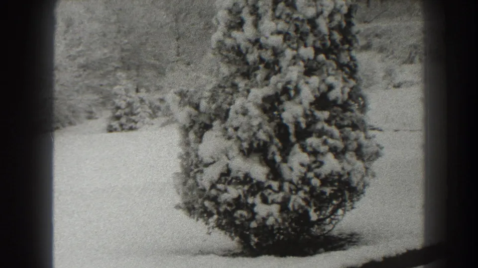 1938 Martinsburg home-movie frame showing a snow-laden evergreen against a soft wooded winter background.