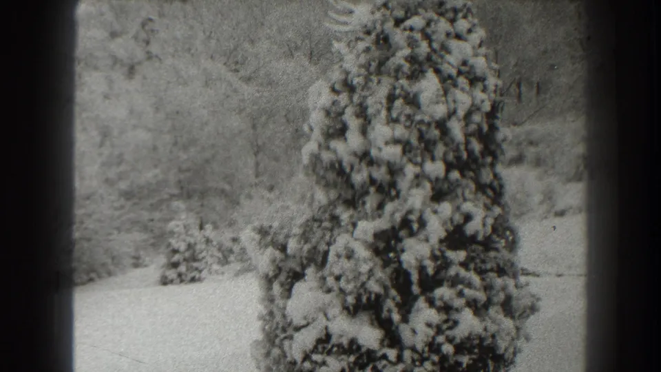 Black-and-white 8mm frame of a snowy evergreen in the supplied Martinsburg 1938 winter home movie.
