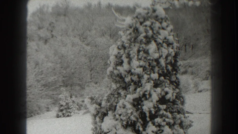 Late frame from the Martinsburg 1938 clip showing the evergreen and surrounding snow in soft 8mm texture.