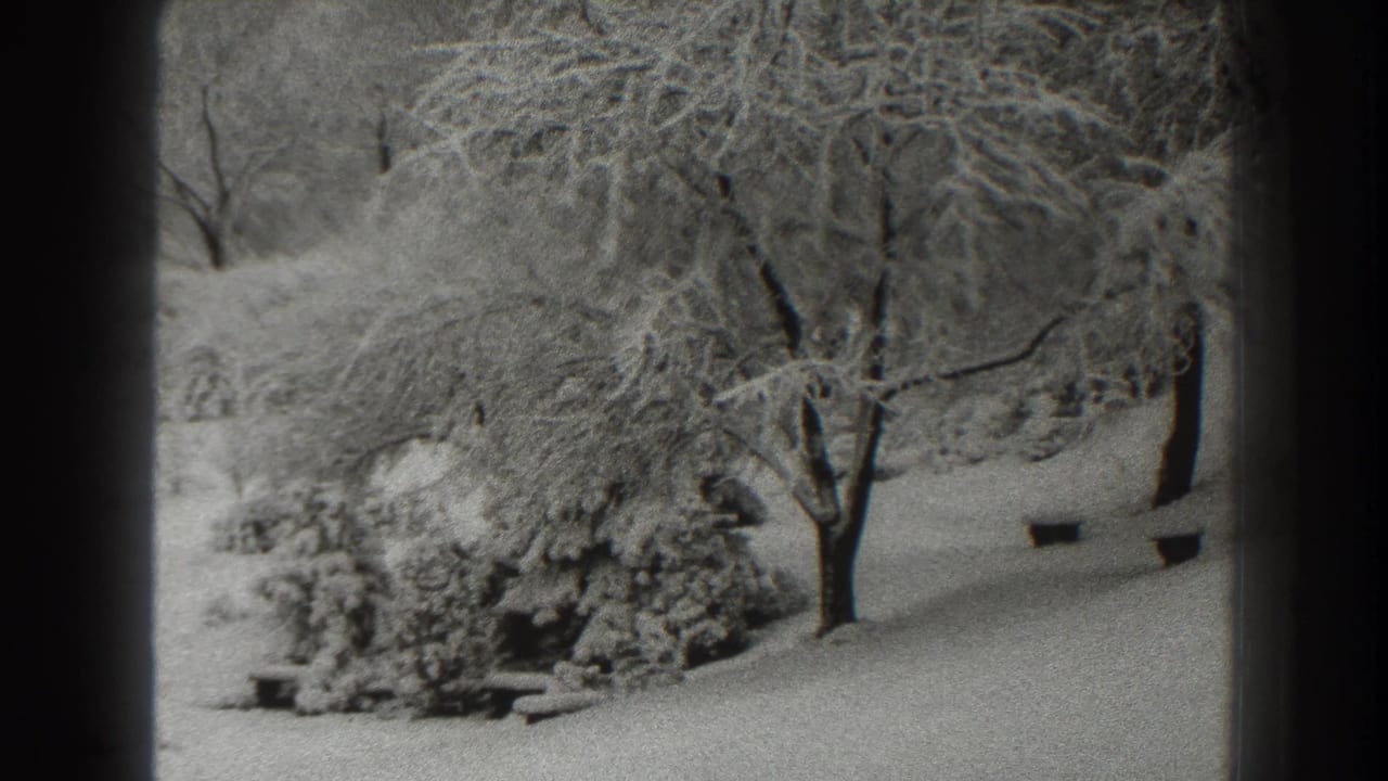 Snow-covered trees and ground seen through dark vertical frame edges.