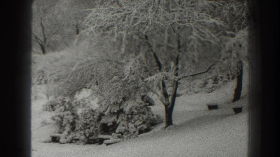 Snow-laden trees and a quiet winter landscape in Martinsburg, West Virginia, filmed in 1938 on black-and-white 8mm.