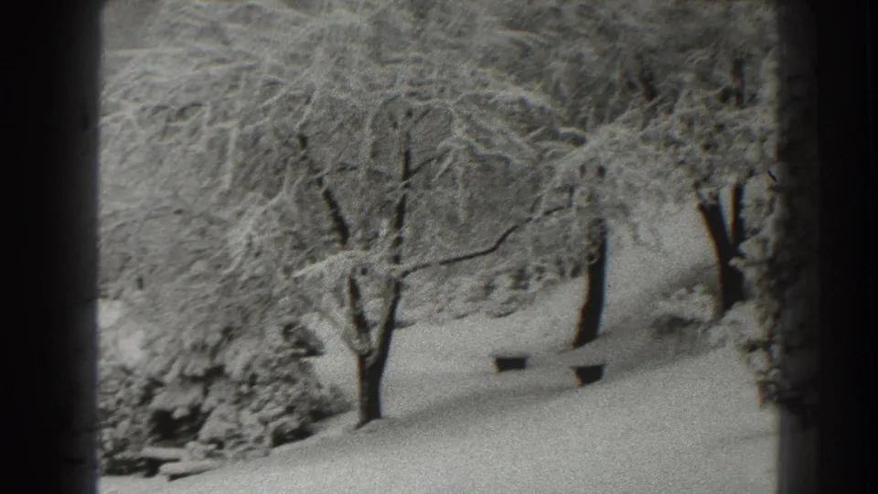 A still winter view of snow-coated trees and open ground in the 1938 Martinsburg home-movie footage.