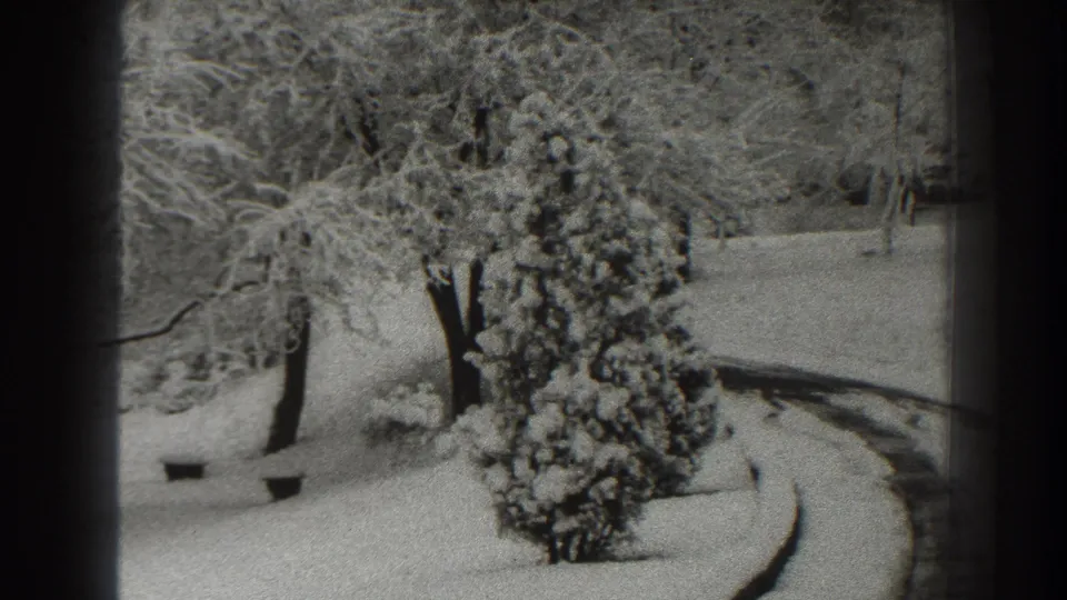 Snow-heavy trees and an evergreen shrub stand beside a curving roadway or path in the Martinsburg winter footage.