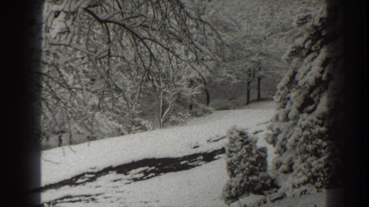 Snow-covered trees and a pale path seen through an 8mm film frame.