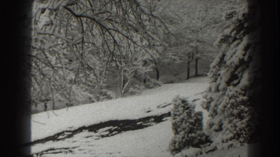 1938 Martinsburg, West Virginia home-movie frame showing snowy trees, bare branches, and a quiet path or drive.