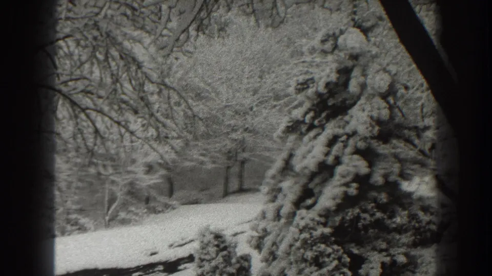 Martinsburg winter home-movie frame with a snow-laden evergreen, leafless trees, and a pale snow-covered path.