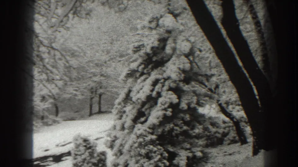 1938 winter landscape frame showing a snow-covered shrub or evergreen, bare tree limbs, and a quiet snowy path.