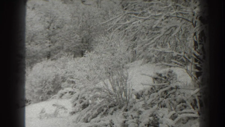 1938 Martinsburg home-movie frame showing snow on low shrubs, bare tree branches, and a soft wooded background.