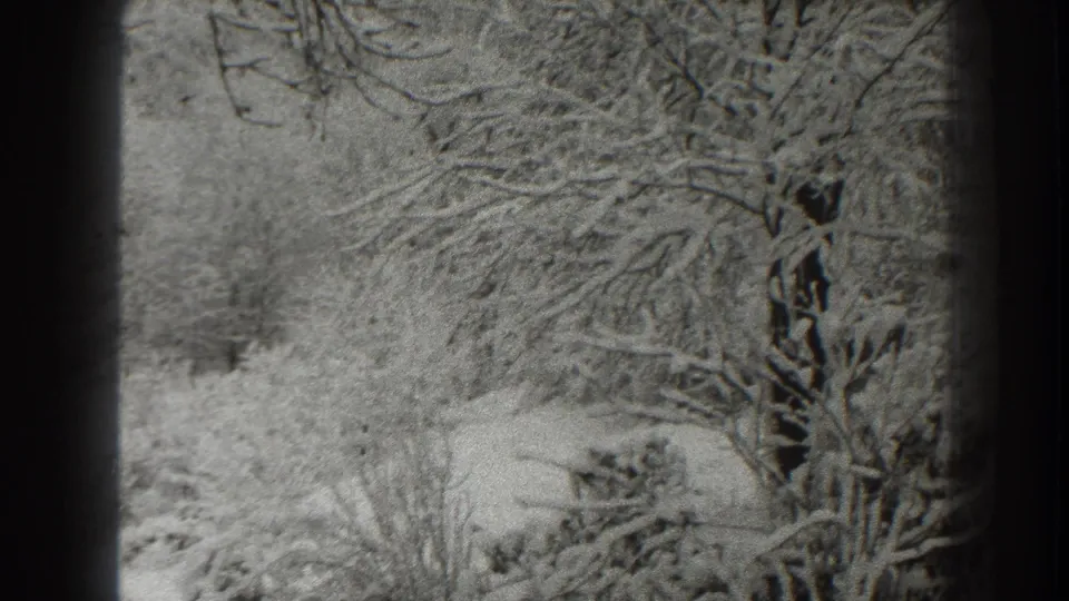 1938 Martinsburg winter frame with a dark tree trunk, snow-coated branches, low brush, and a pale snowy ground plane.