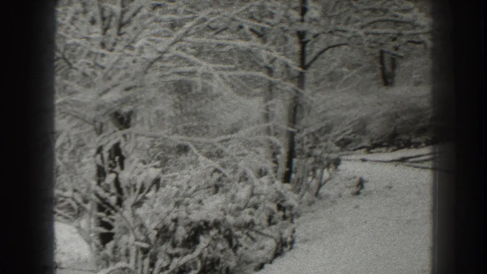 1938 Martinsburg home-movie still with snow-covered ground, bare winter branches, a dark tree trunk, and a faint background line.