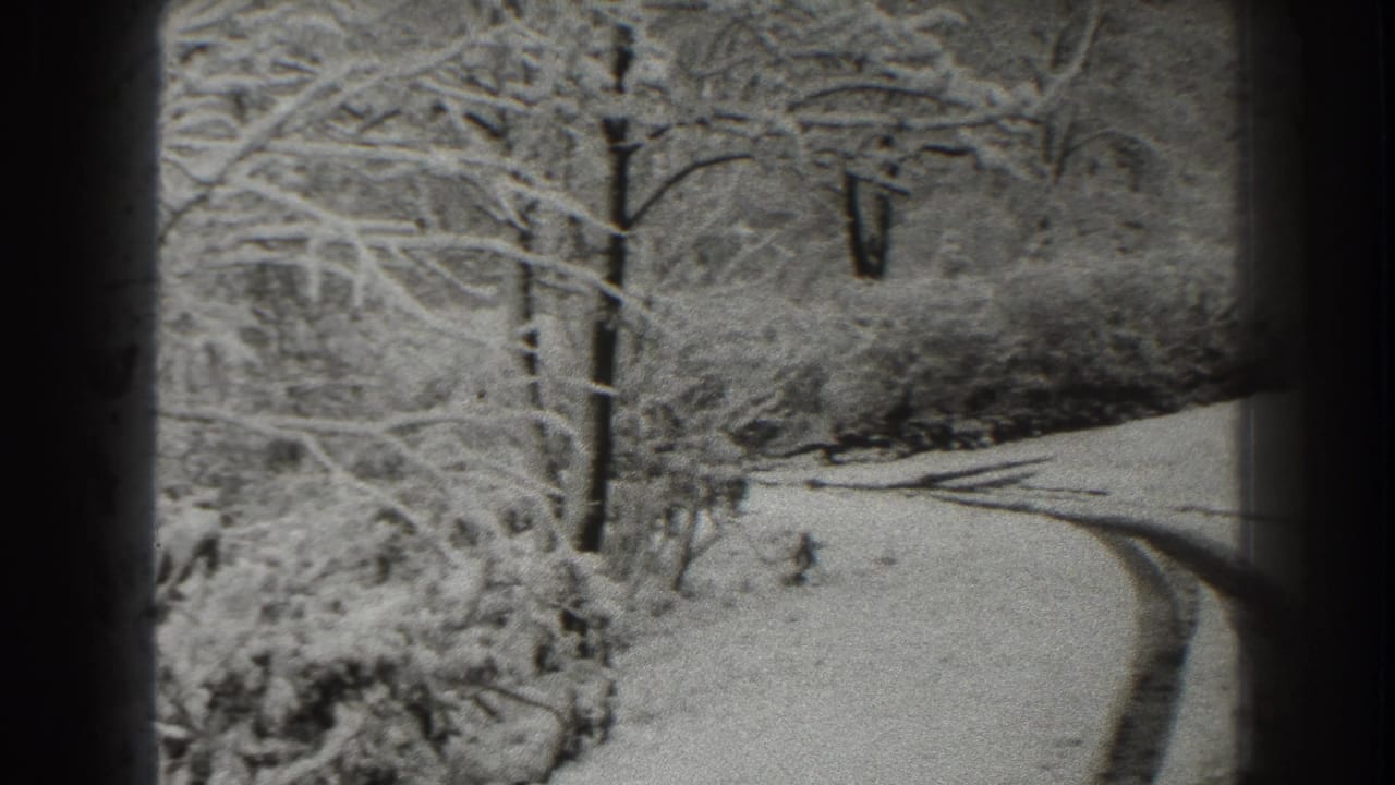 Snow-covered rural road curves through bare winter trees with dark tire tracks.