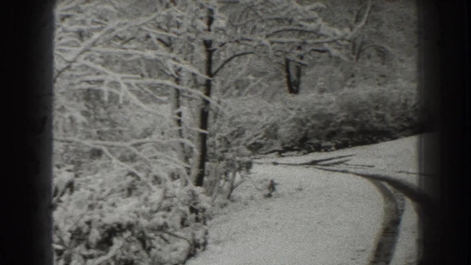 1938 Martinsburg-area 8mm frame showing a snowy rural road bending through leafless trees and dense roadside brush.
