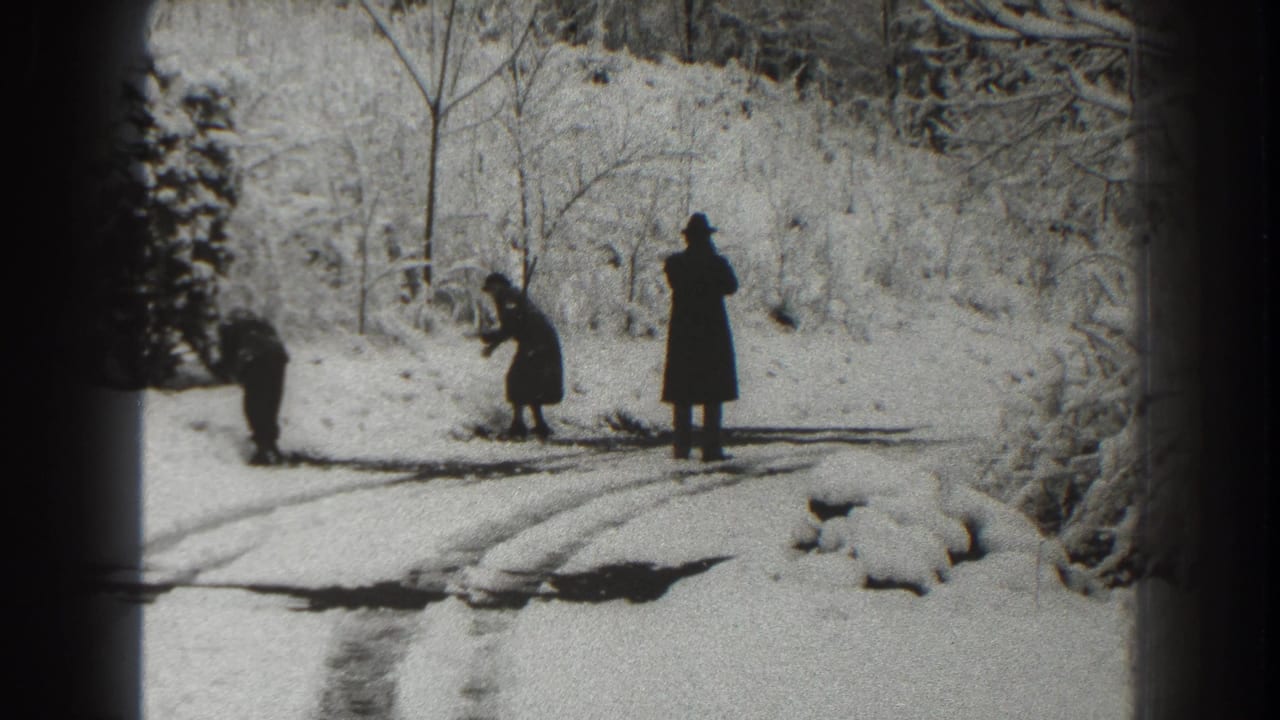 Three bundled people on a snow-covered road beside snow-laden trees.