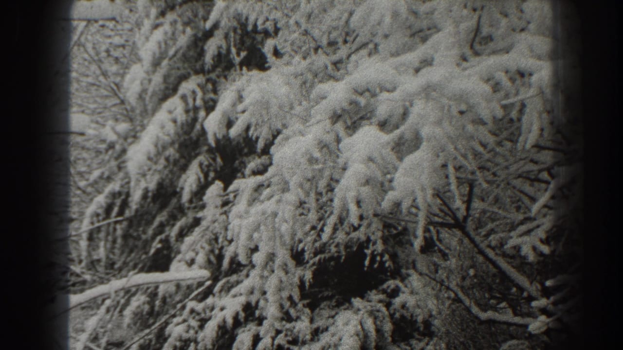 Snow-covered evergreen branches fill the frame in black-and-white footage.