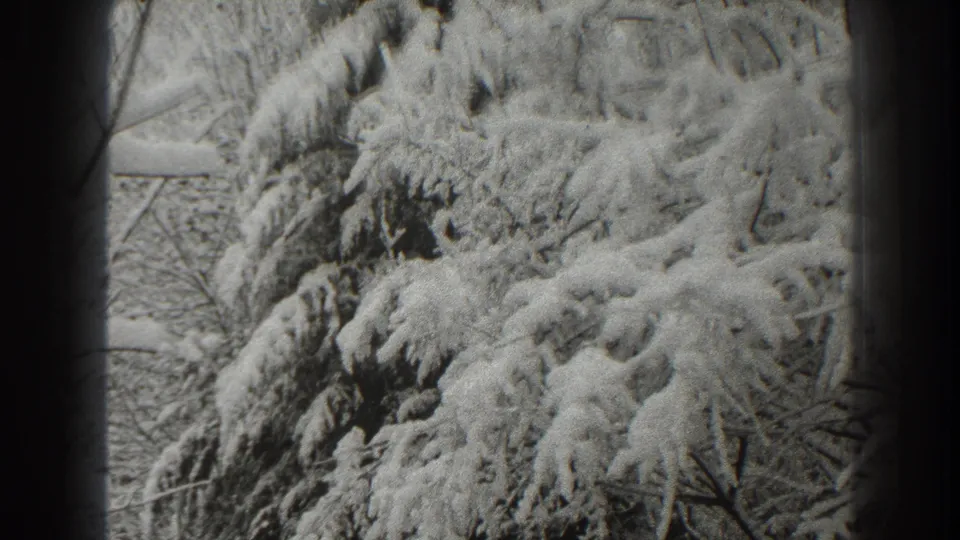 The 8mm frame holds on dense snow over evergreen branches, with a soft black-and-white winter texture.