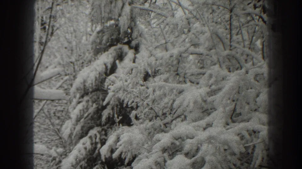Black-and-white 8mm frame from Martinsburg, West Virginia, with dense snow on evergreen and bare branches.
