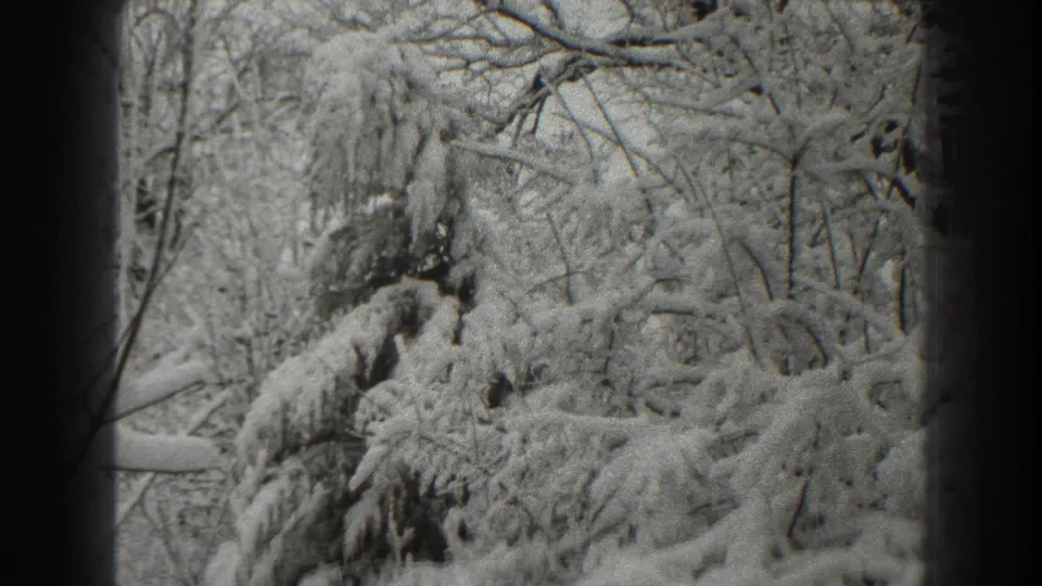 1938 Martinsburg 8mm frame with snow-covered branches, bare winter trees, and visible dark film-gate edges.