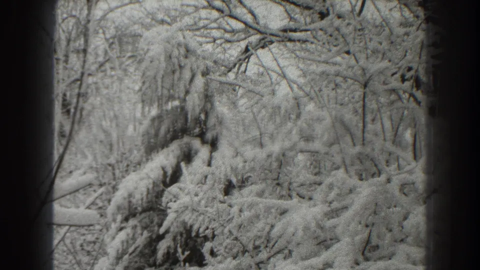 1938 8mm frame from Martinsburg, West Virginia, showing snow on evergreen and bare tree branches in a quiet winter setting.