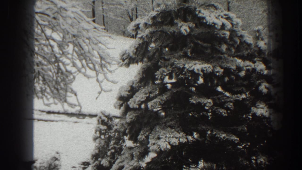 Black-and-white 8mm view of a snow-laden evergreen and nearby bare branches, consistent with the Martinsburg winter landscape metadata.