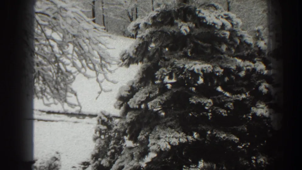 Black-and-white 8mm view of a snow-laden evergreen and nearby bare branches, consistent with the Martinsburg winter landscape metadata.