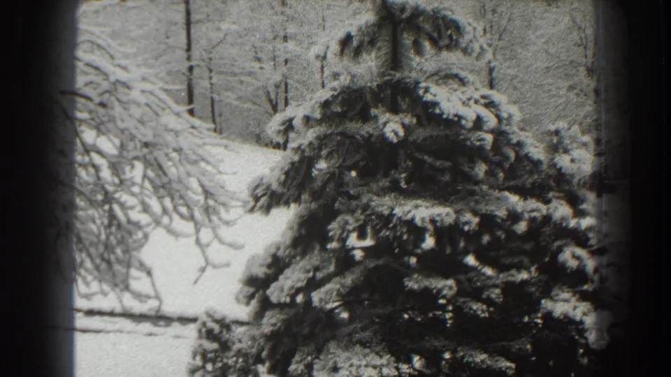 Snow-covered evergreen dominates the frame, with bare winter trees and pale ground visible in this 1938 Martinsburg home-movie shot.