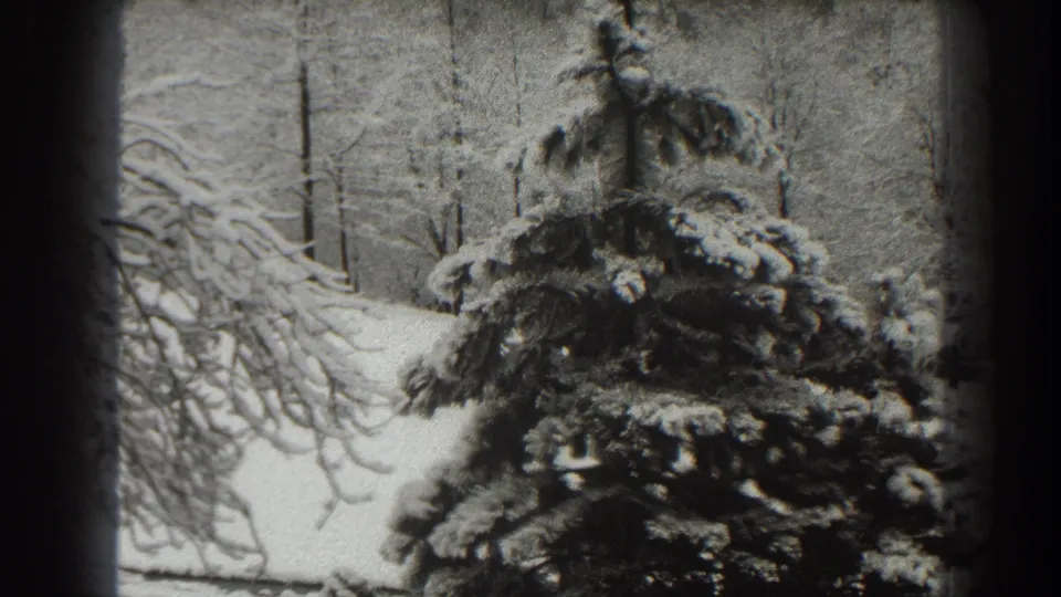 1938 Martinsburg, West Virginia 8mm frame showing a snow-laden evergreen with bare branches and snowy ground behind it.