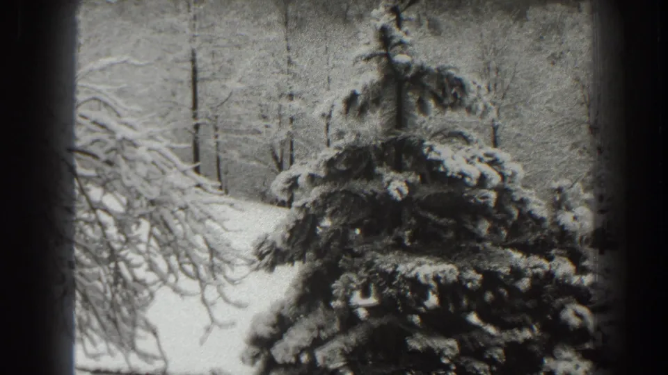 1938 Martinsburg-area winter frame with a snow-covered evergreen in front of pale woods and a snowy slope or path.